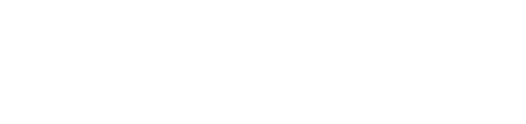 Chief Learning Officer